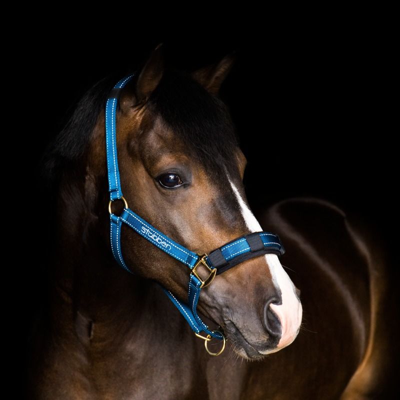 Stubben Stable Halter with Reflecting Thread