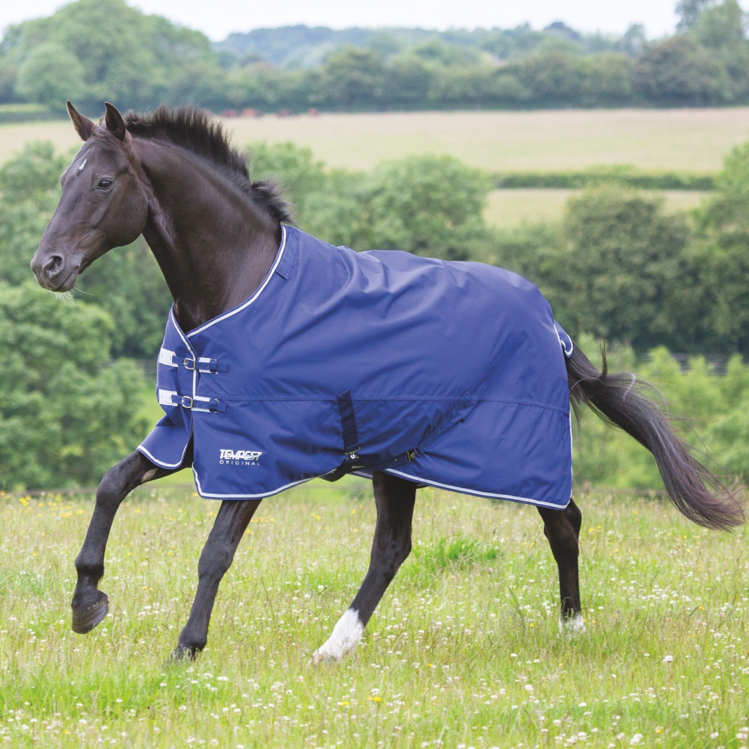Shires Tempest Original Lite Turnout Rug