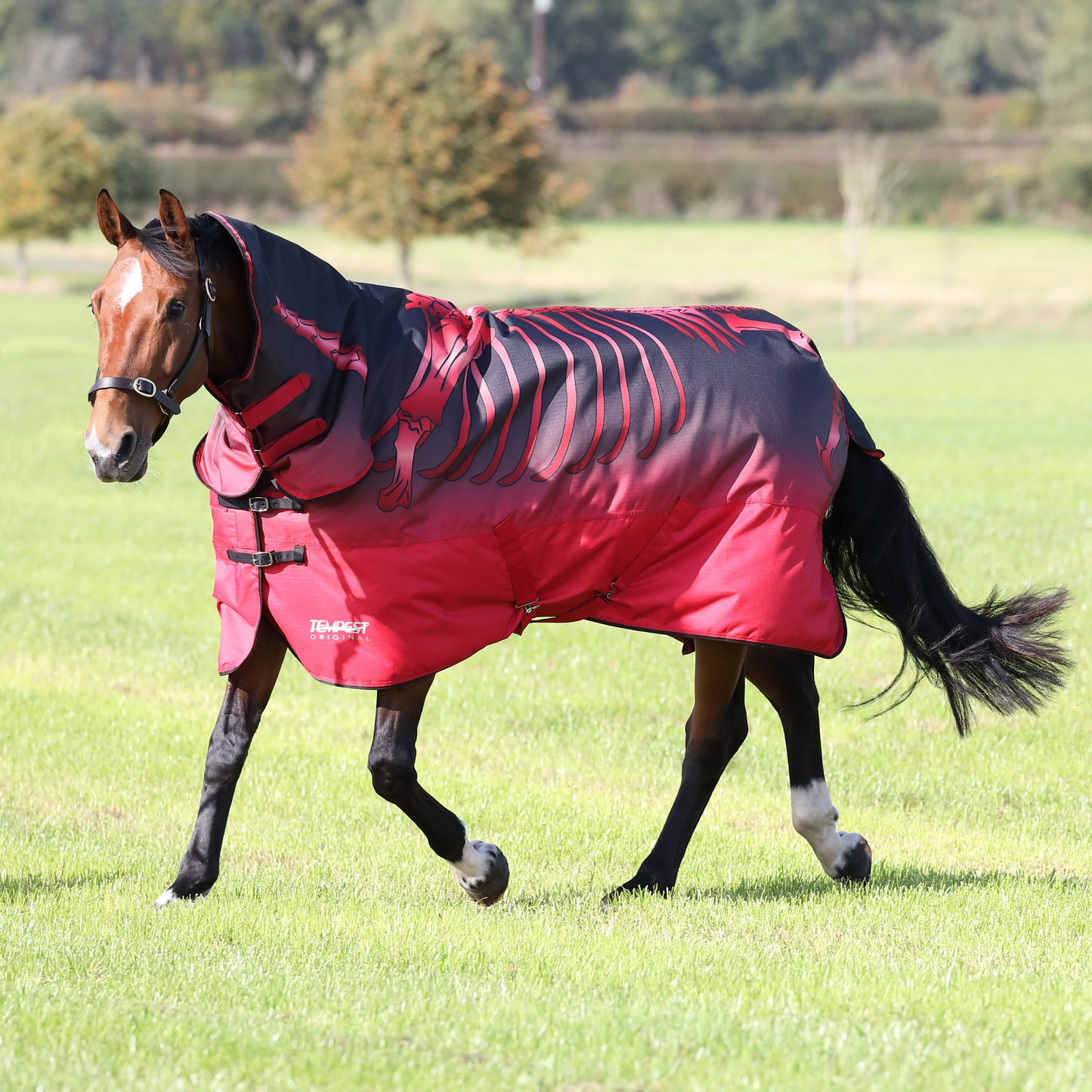 Shires Tempest Original 200g Turnout Combo