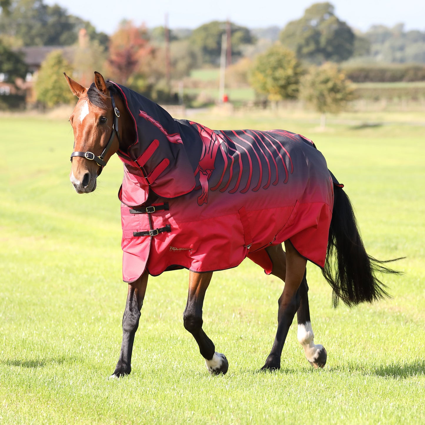 Shires Tempest Original 100g Turnout Combo Rug