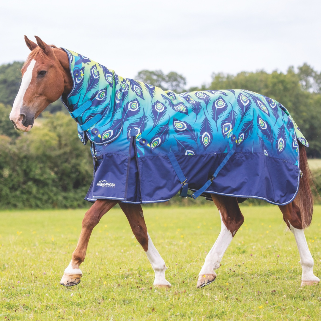 Shires Highlander Original 100g Combo Turnout Rug