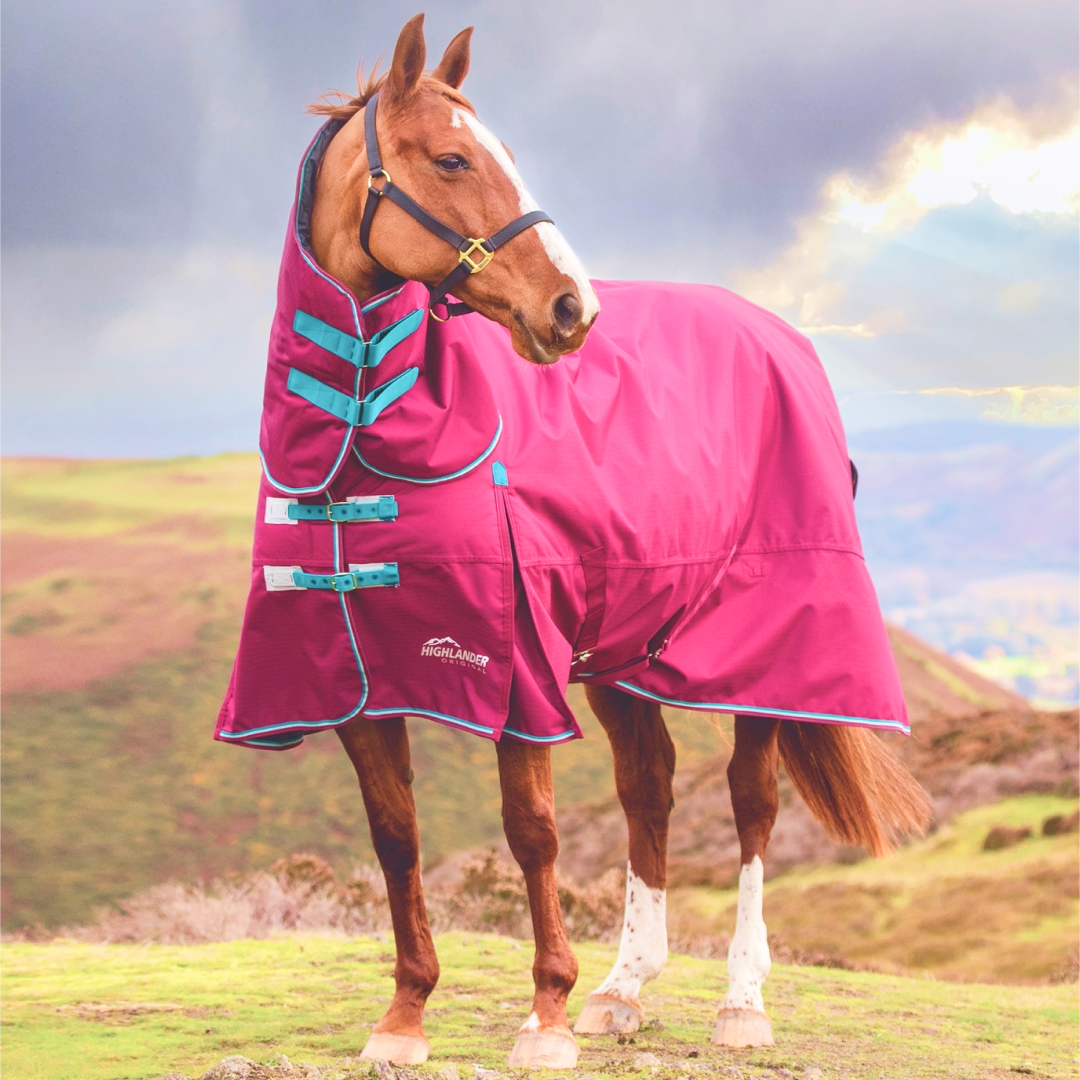 Shires Highlander Original 300g Combo Turnout Rug