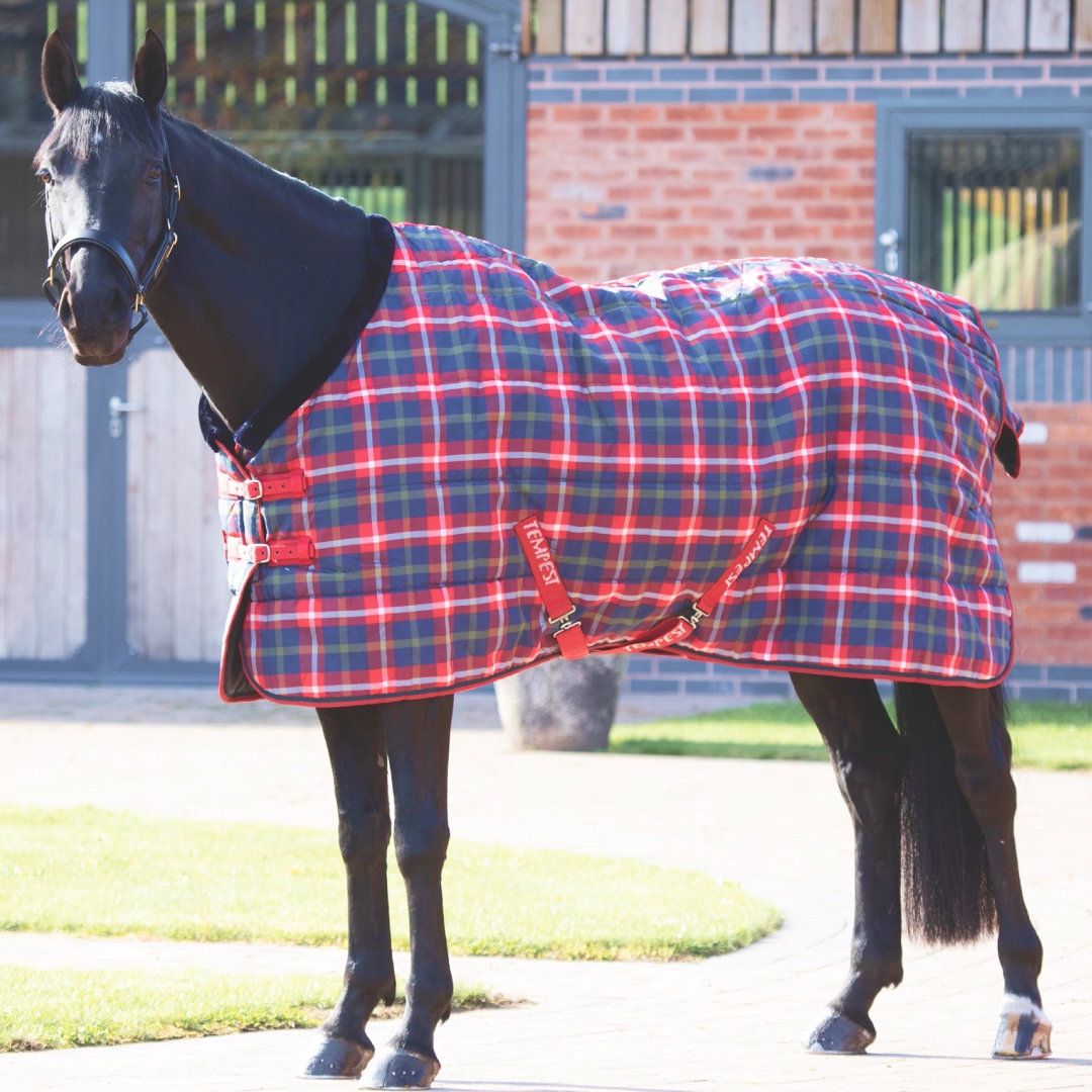 Shires Tempest Plus 200g Stable Rug