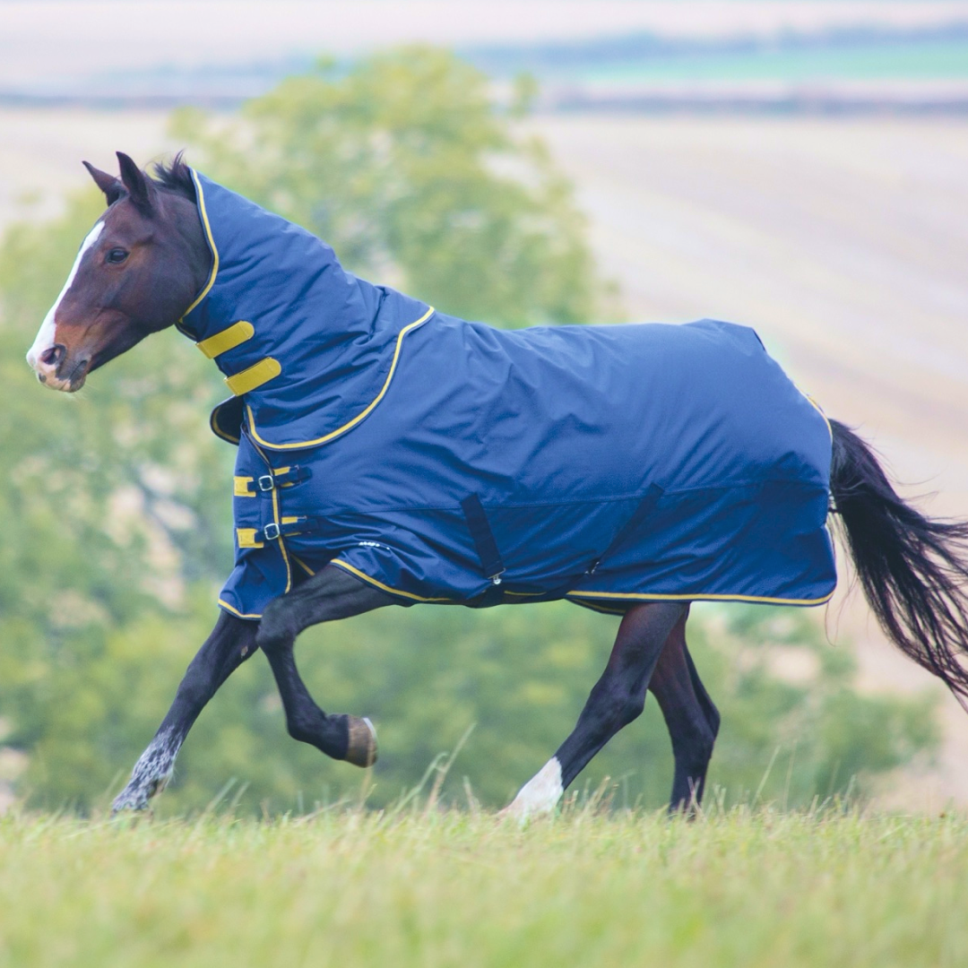 Shires Tempest Original 300g Turnout Rug with Detachable Neck