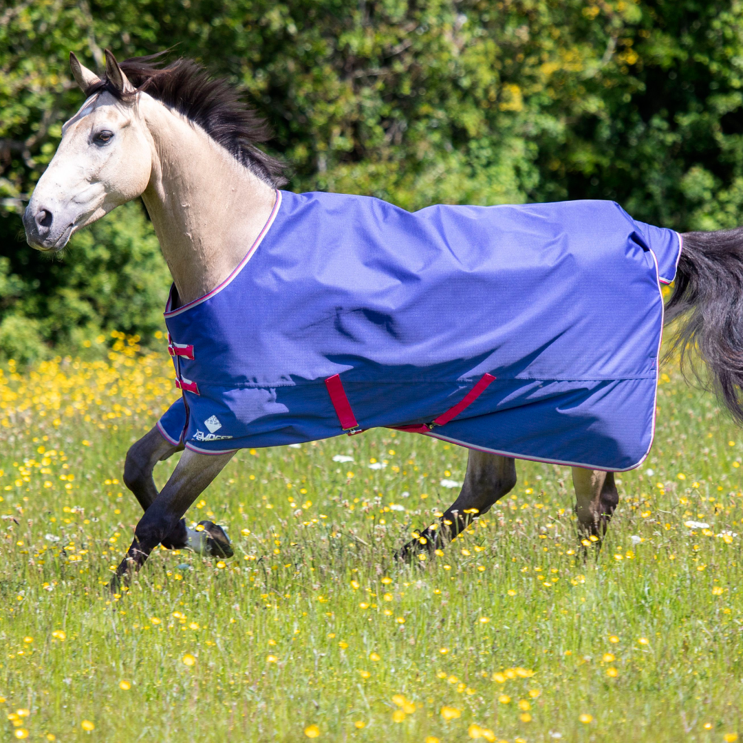 Shires Tempest Original Air Motion Turnout Rug