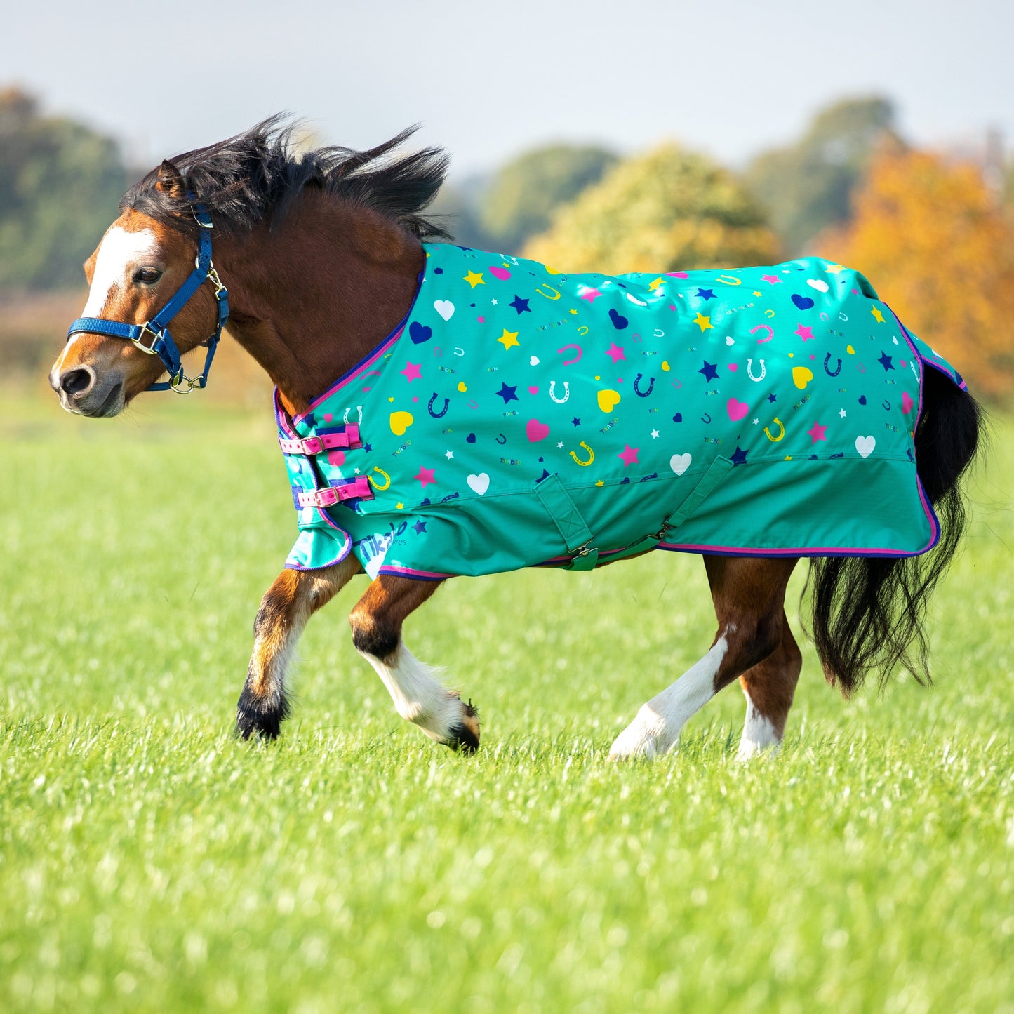 Shires Tikaboo Lite Turnout Rug