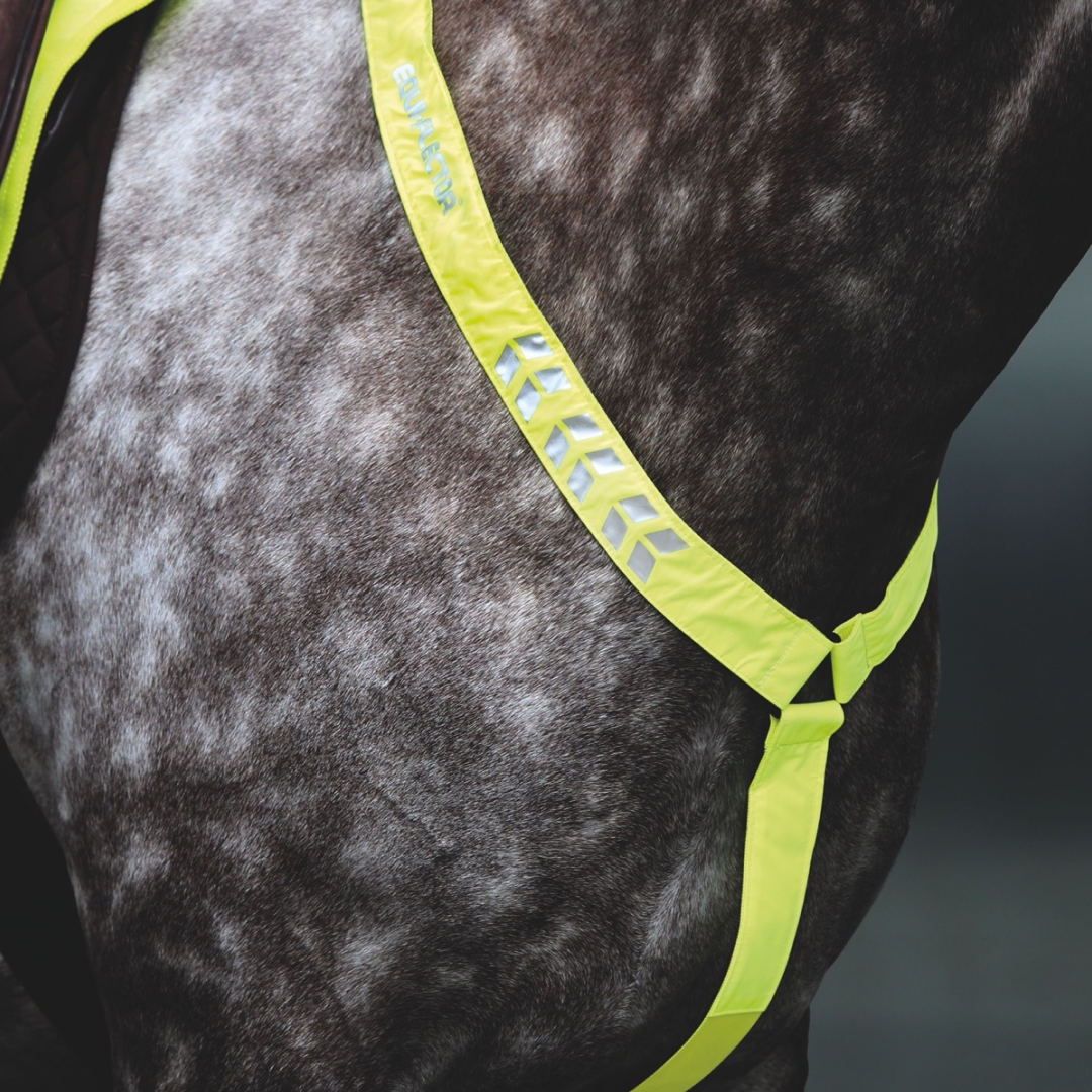 Shires EQUI-FLECTOR Breastplate