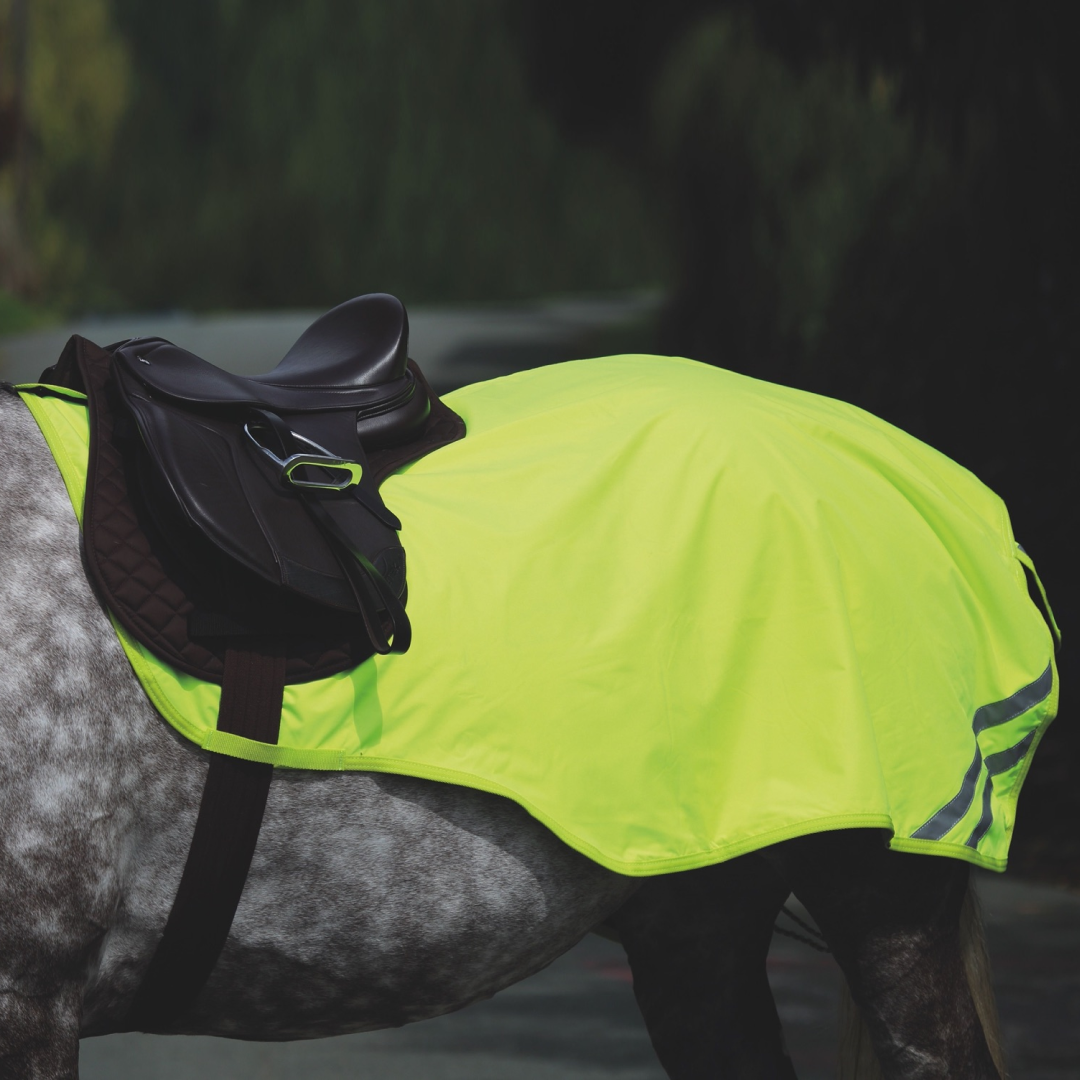 Shires EQUI-FLECTOR Mesh Exercise Sheet