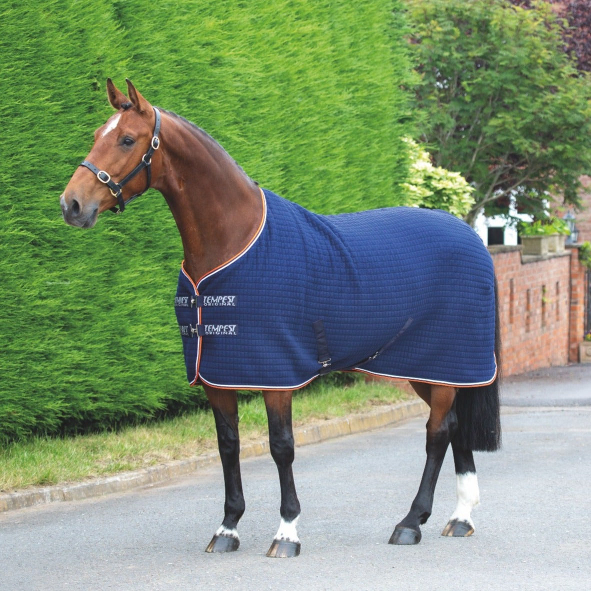 Shires Tempest Original Tech Cooler Rug