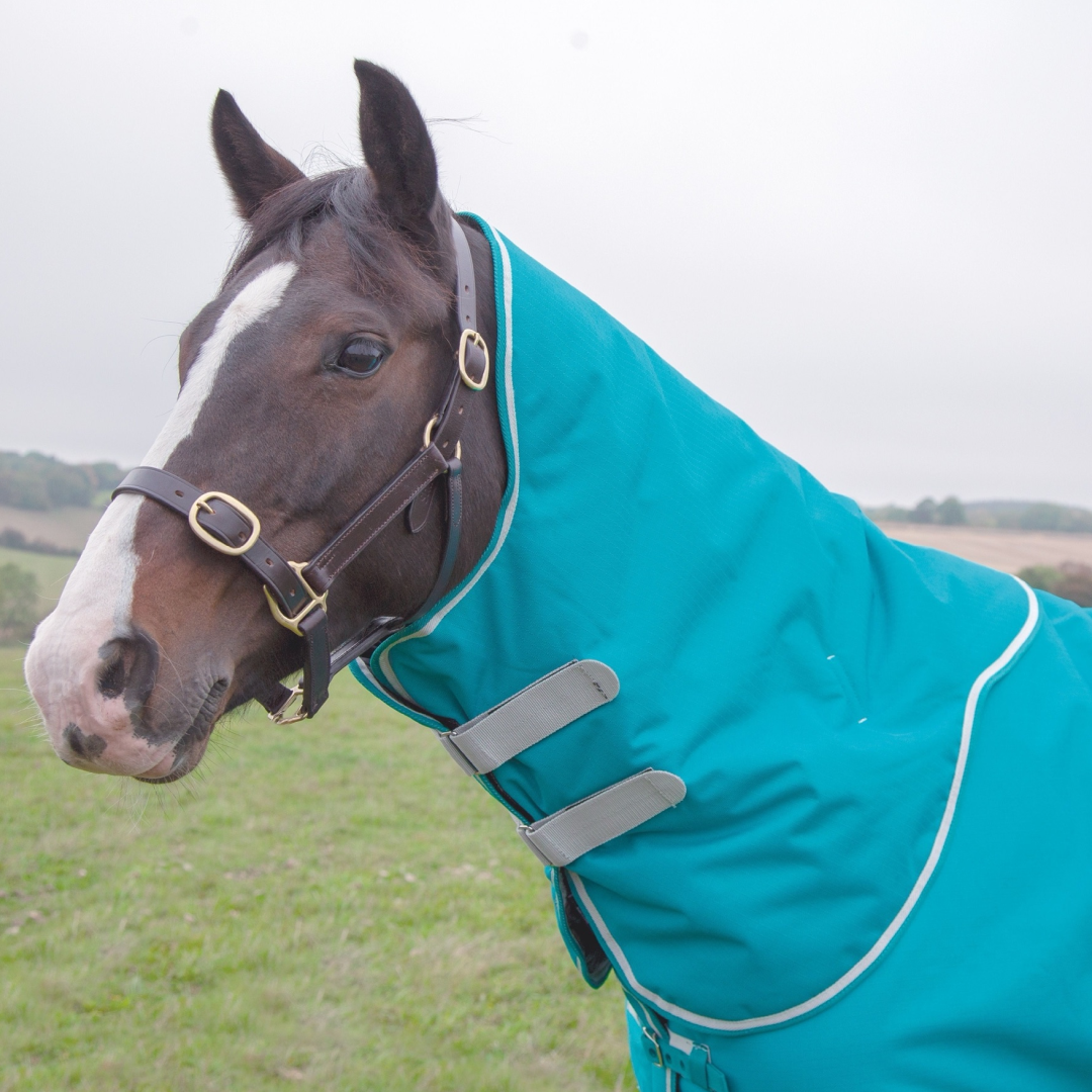 Shires Tempest Plus 200g Turnout Neck Cover