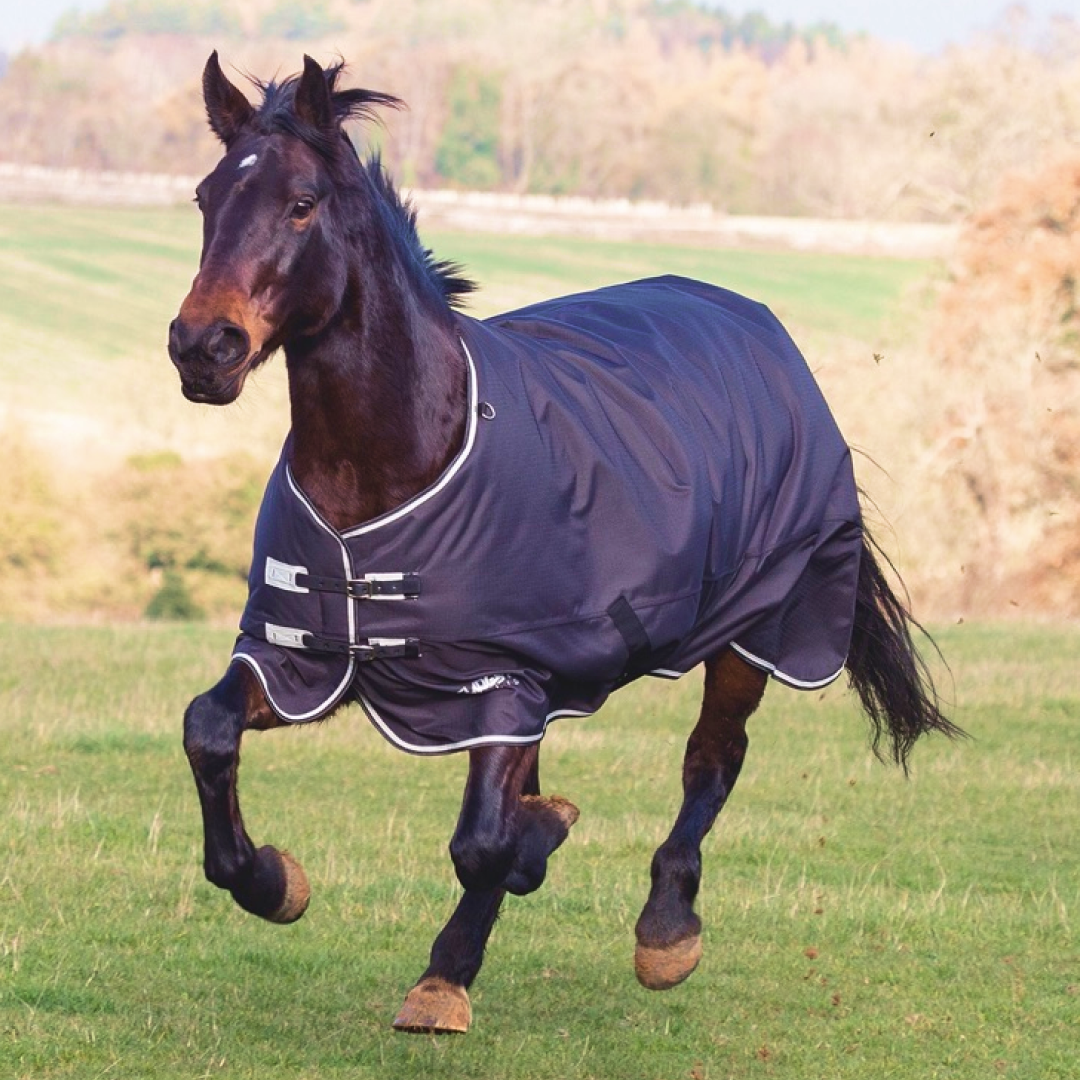 Shires Tempest Plus 300g Turnout Rug