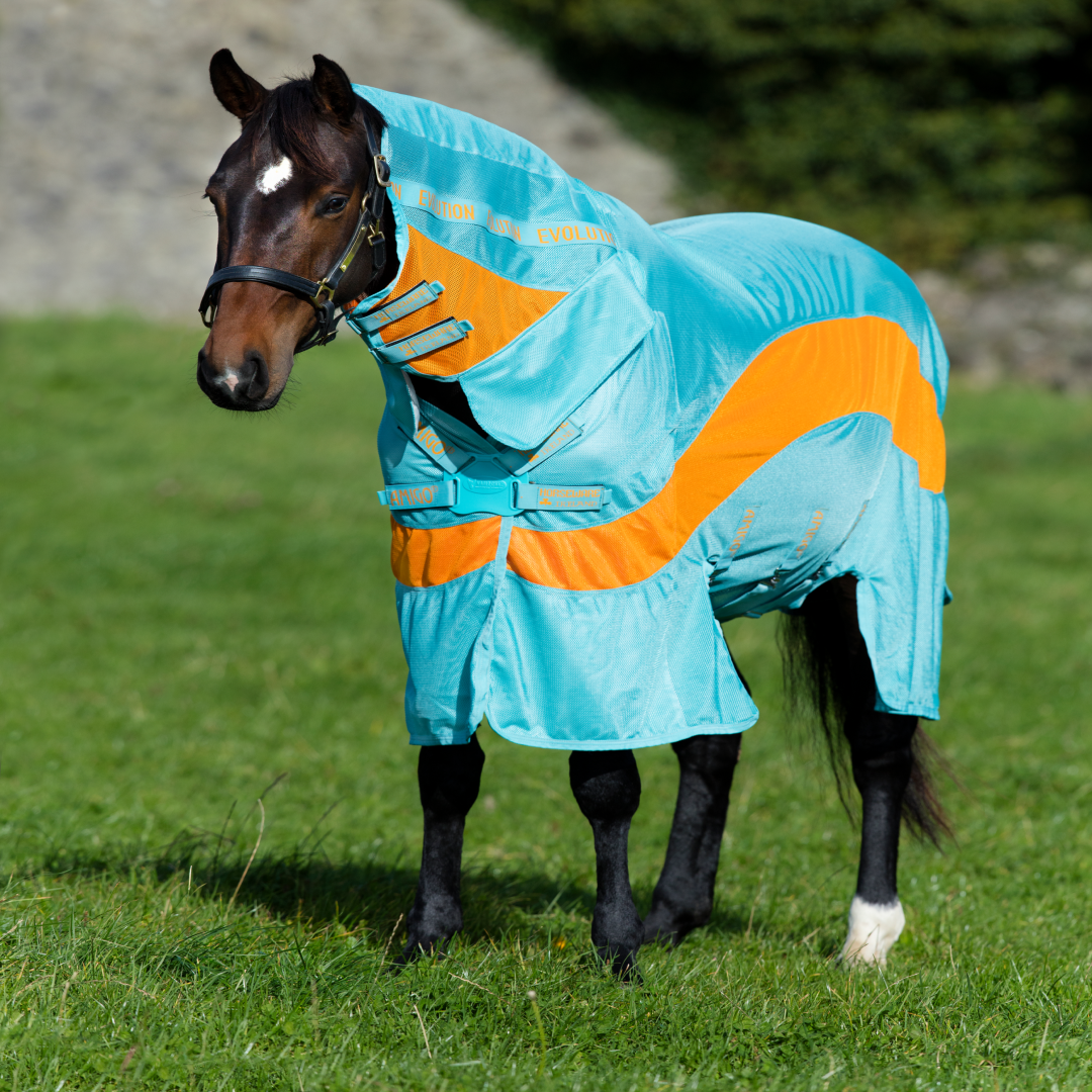 Horseware Ireland Amigo Evolution