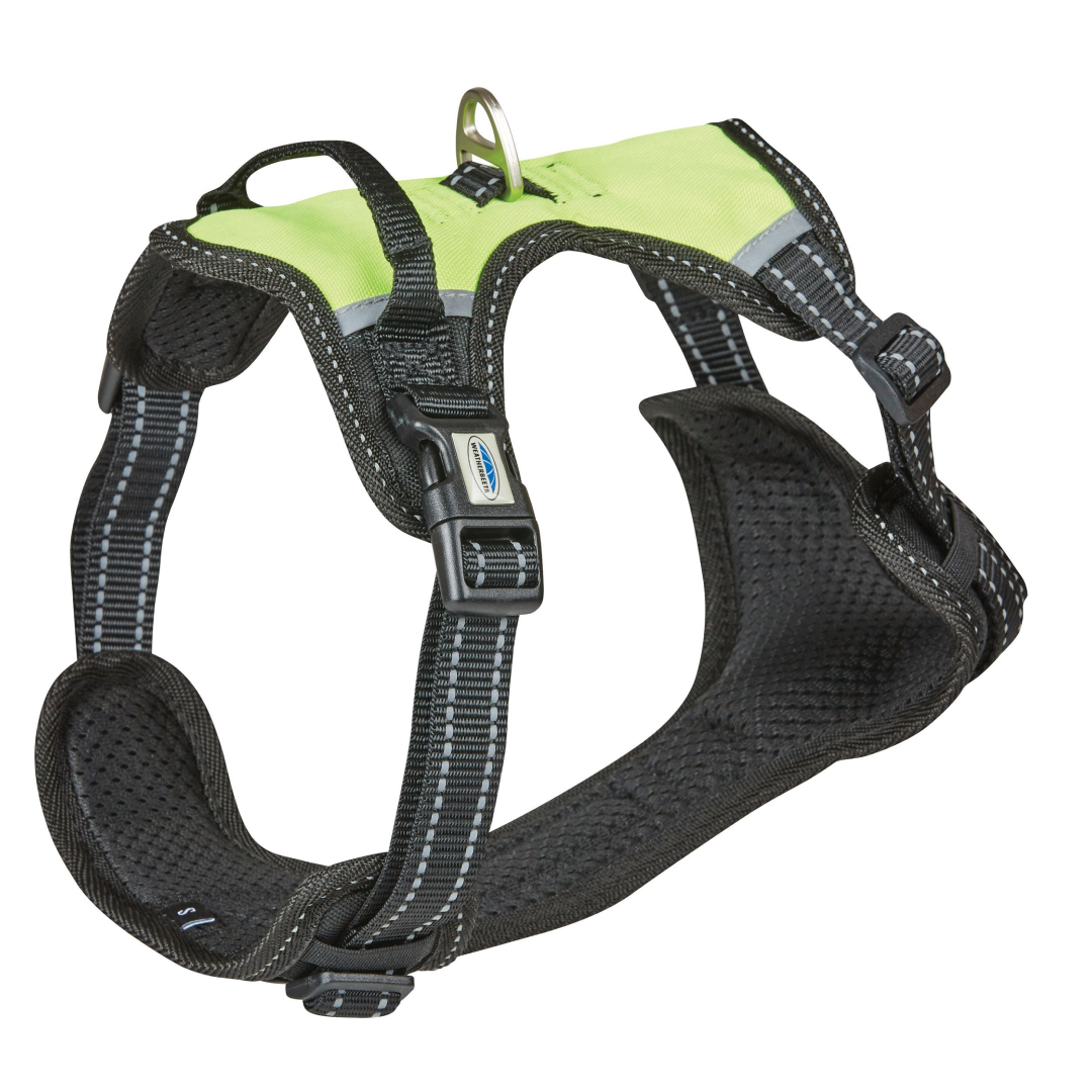 Weatherbeeta Anti Pull/Travel Harness