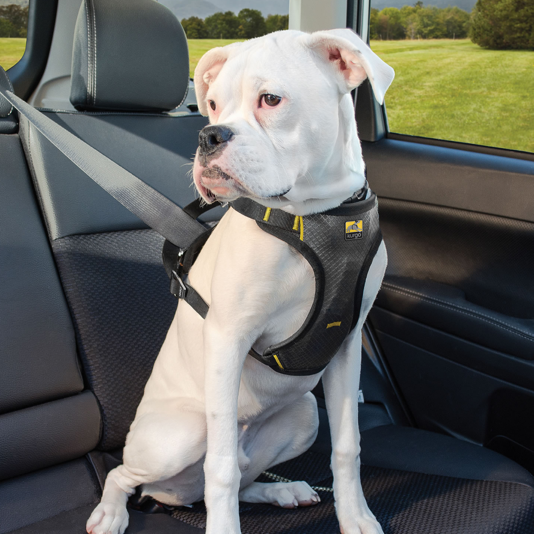 Kurgo Impact Seatbelt Harness