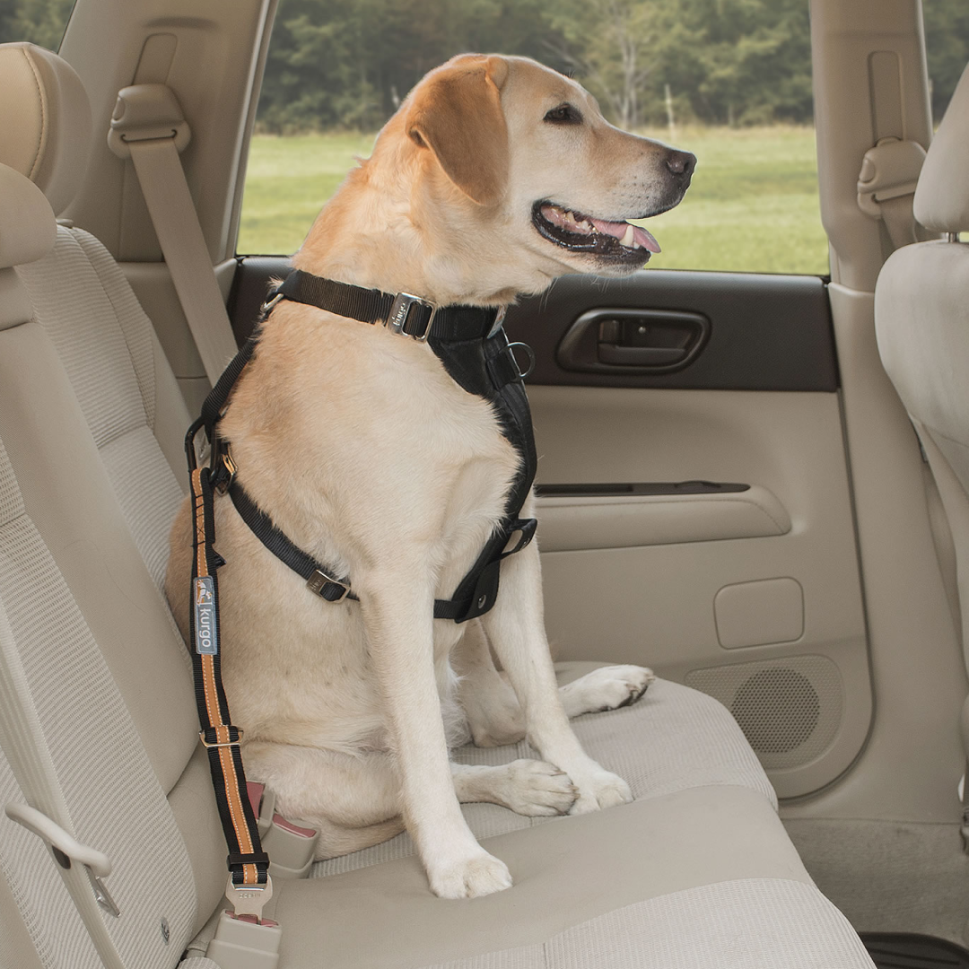 Kurgo Direct To Seatbelt Tether