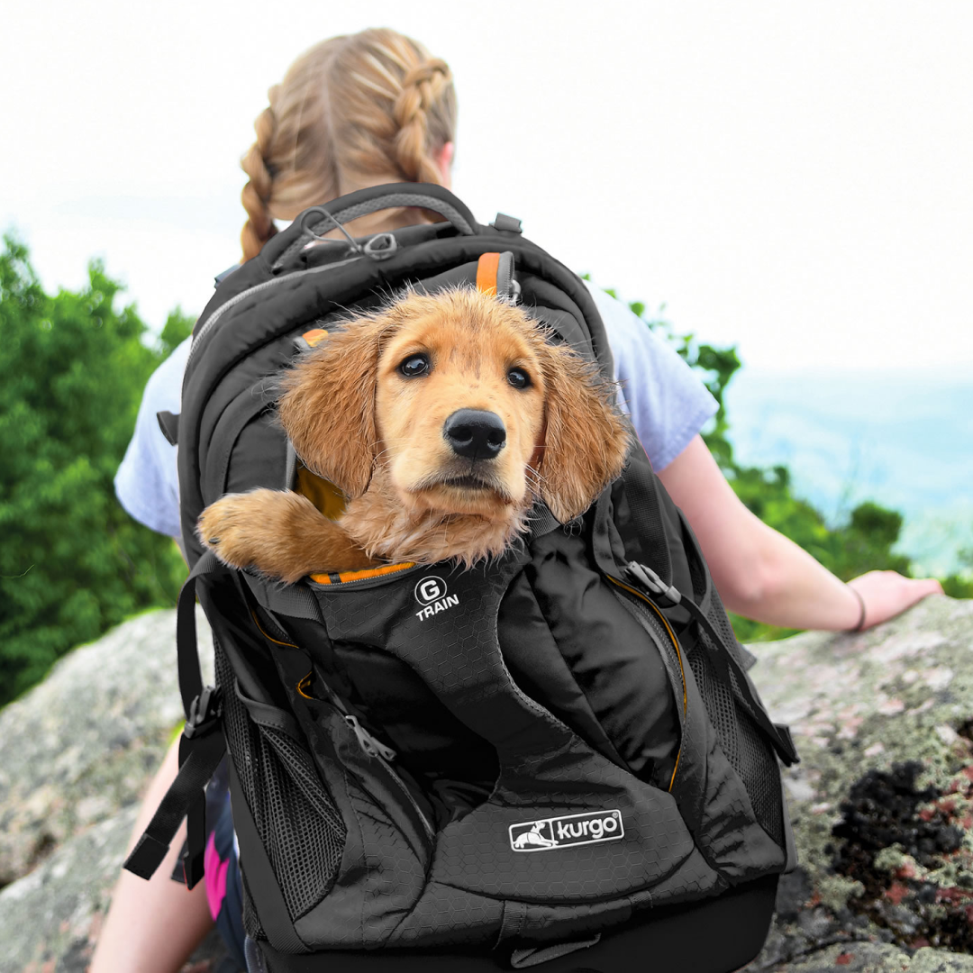 Kurgo G-Train K9 Pack