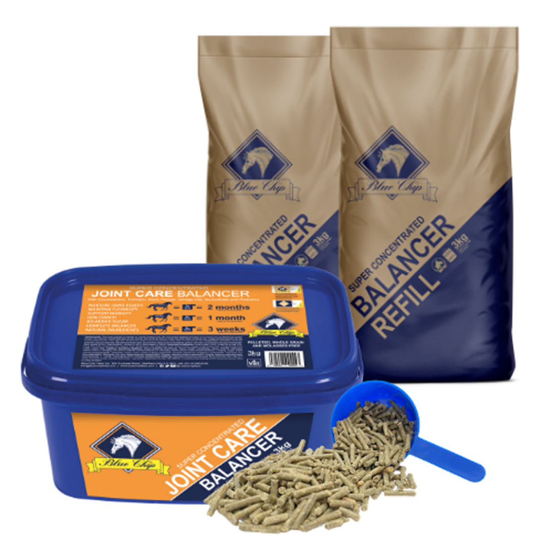 Blue Chip Super Concentrated Joint Care Balancer