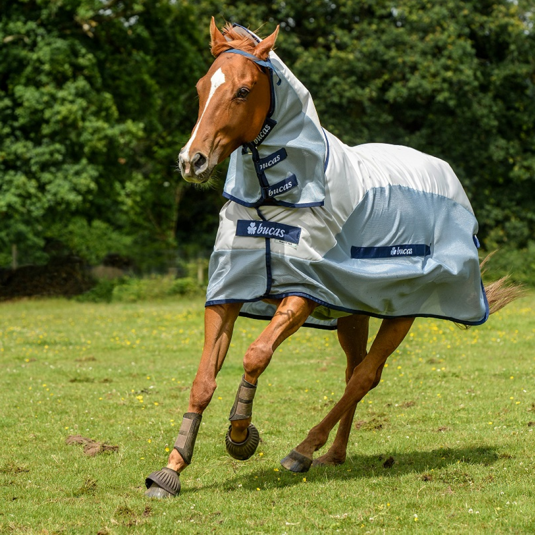Bucas Buzz Off Rain Detachable Neck Rug