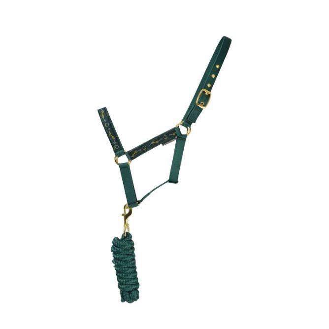 HY Equestrian Elegant Stirrup & Bit Head Collar & Lead Rope