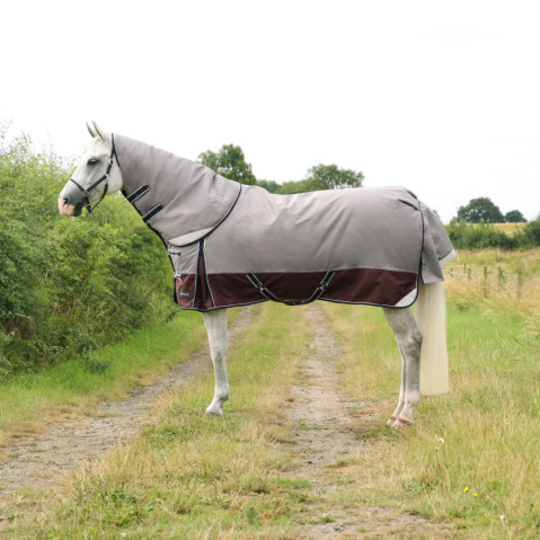 DefenceX System 300g Turnout Rug with Detachable Neck Cover