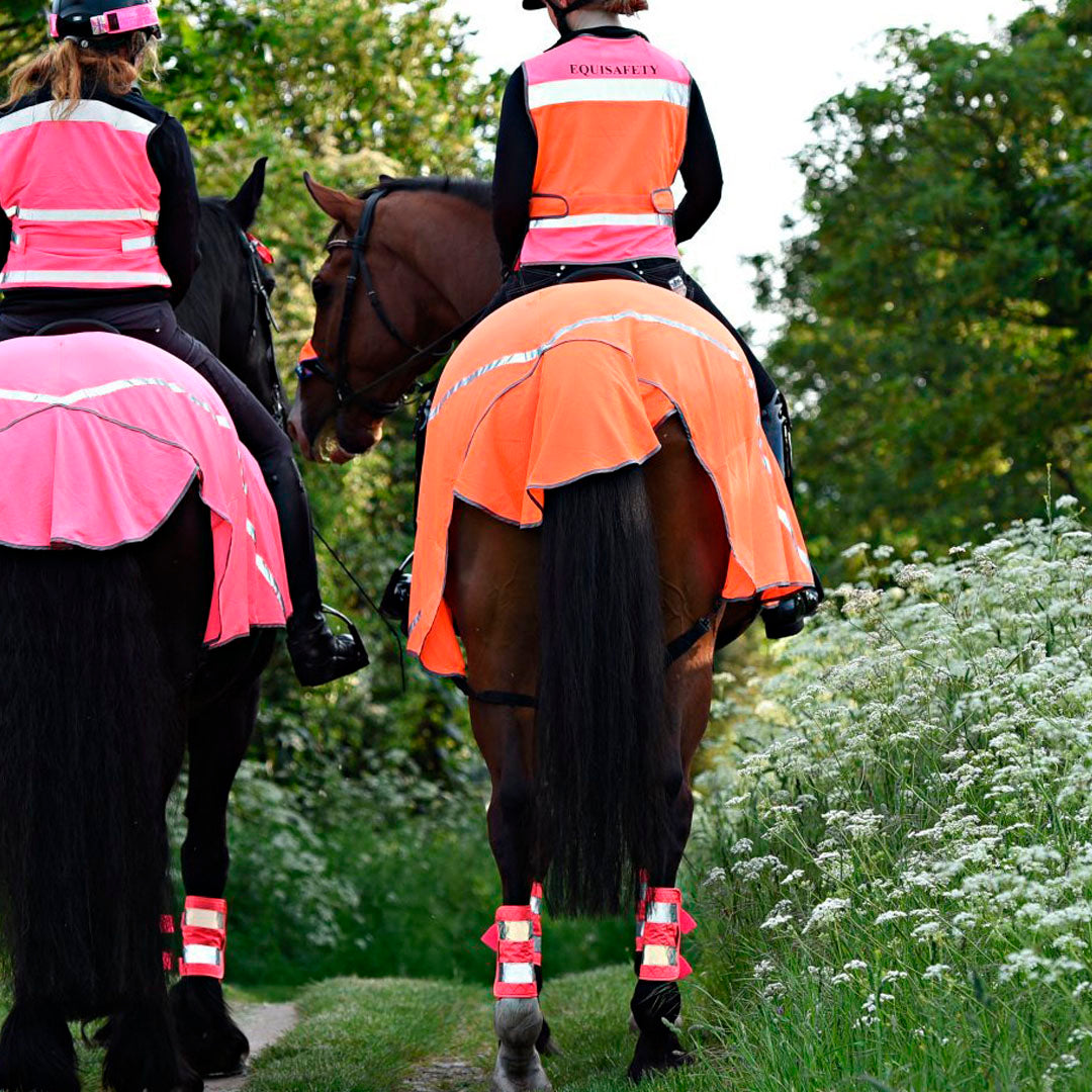 Equisafety Charlotte Dujardin High Visibility Mesh Exercise Sheet