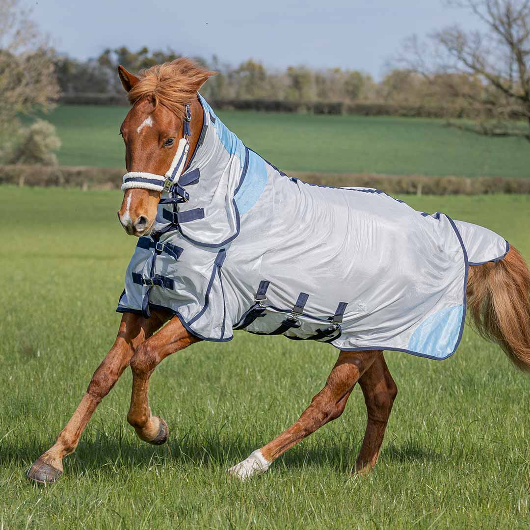 GS Equestrian Combo Fly Rug