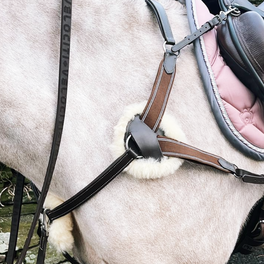 GS Equestrian 5-point Breastplate