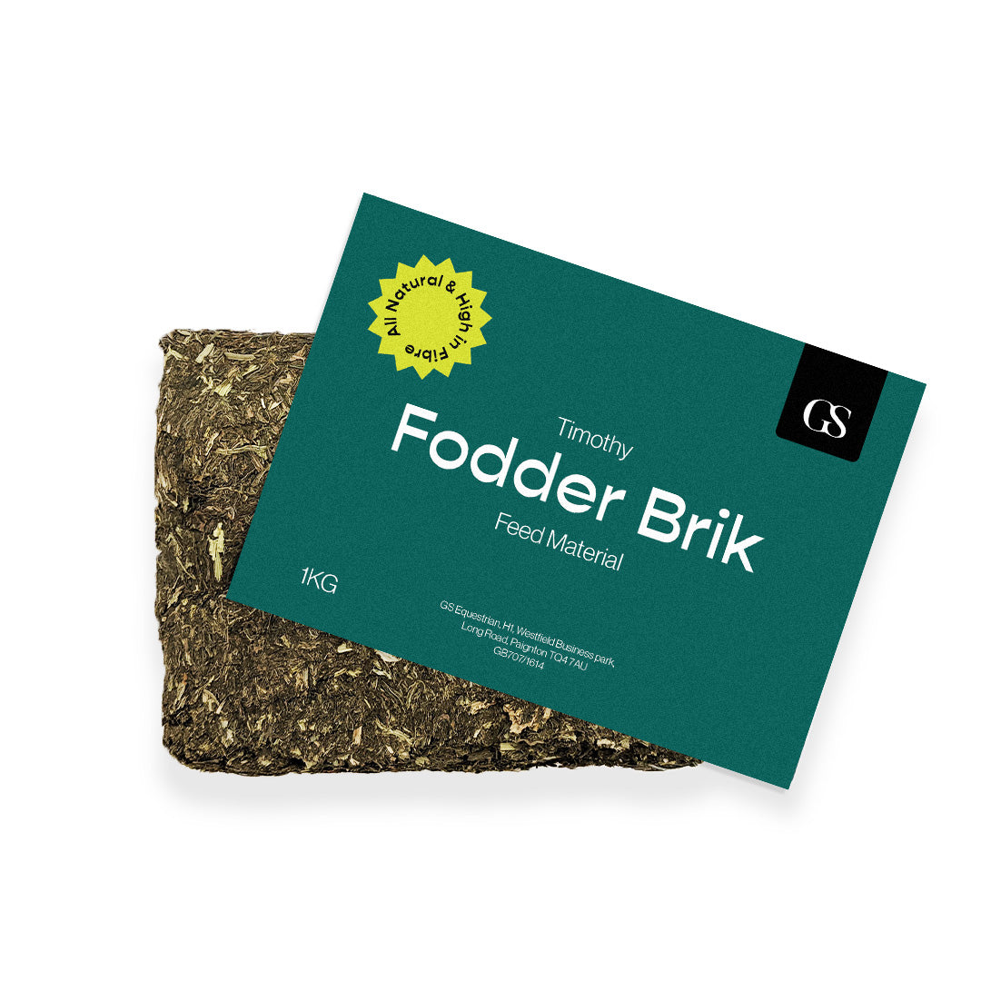 GS Equestrian Timothy Fodder Brik