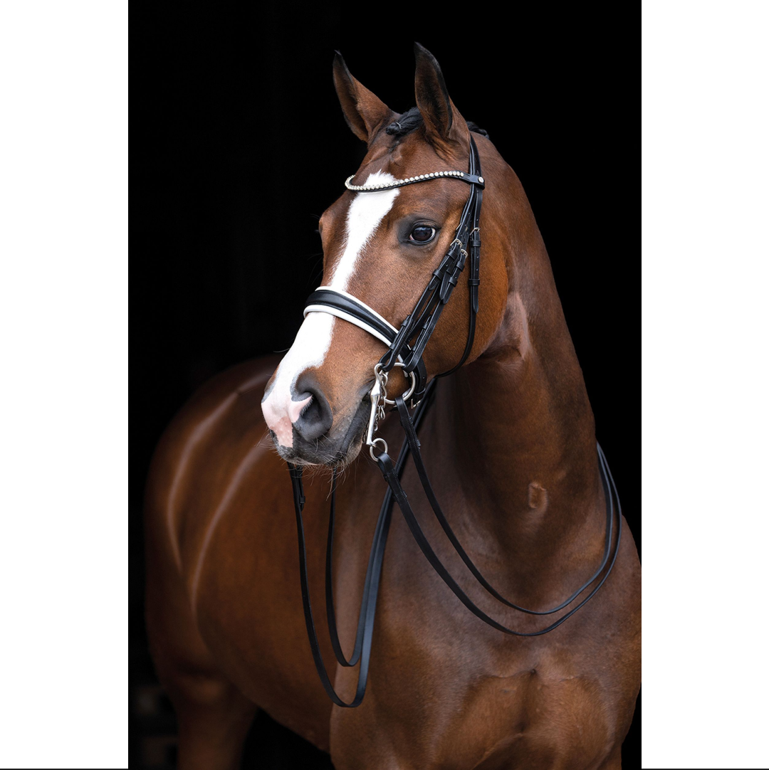 HKM Dina Double Bridle