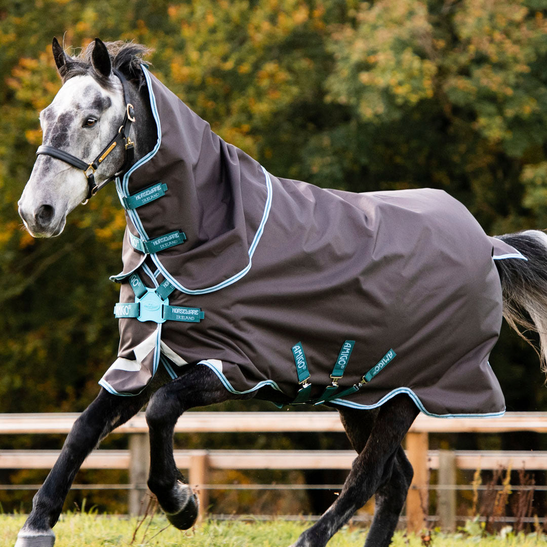 Horseware Ireland Amigo Bravo 12 Plus 250g Medium Turnout Rug with Disc Front Closure