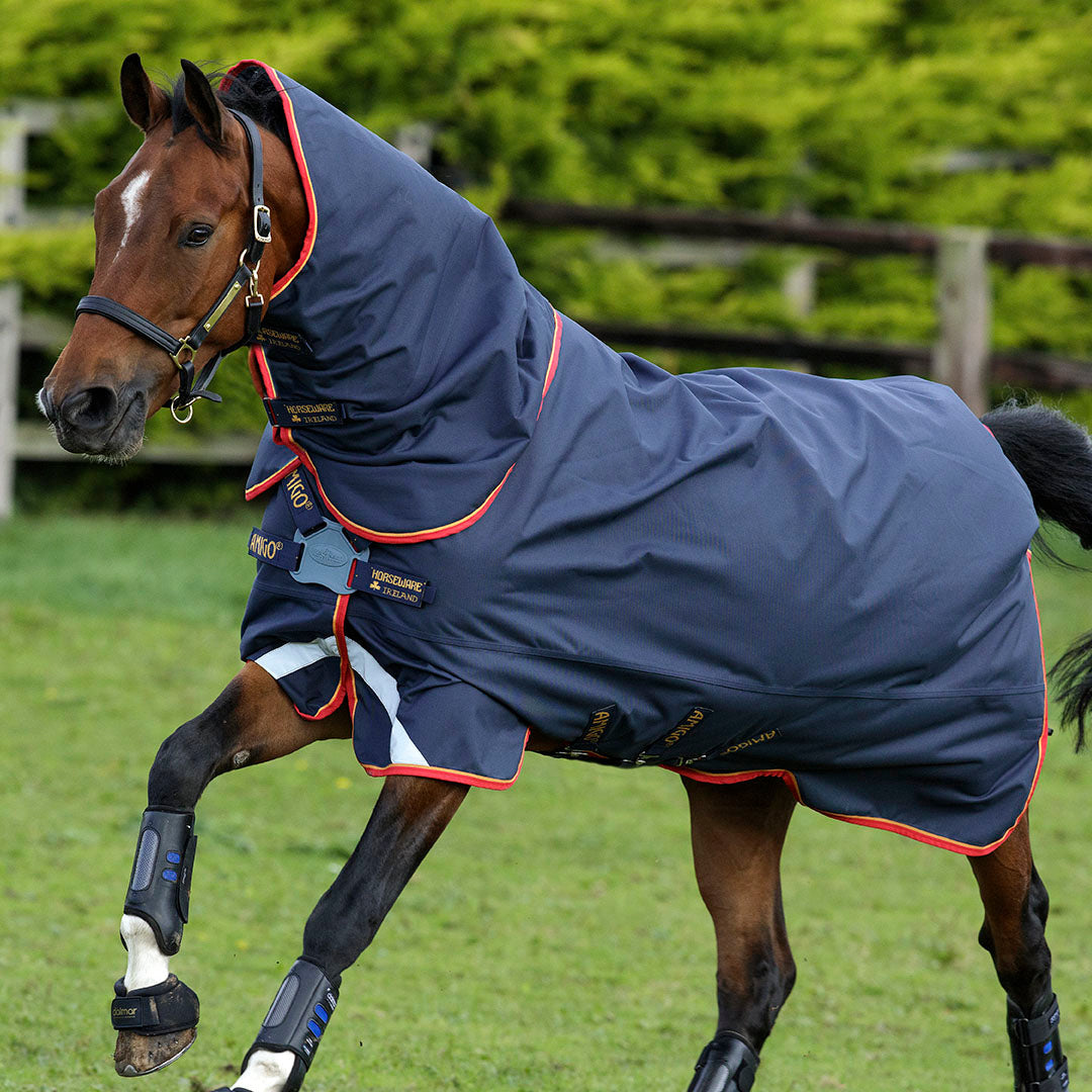 Horseware Ireland Amigo Bravo 12 Plus 100g Lite Turnout Rug with Disc Front Closure