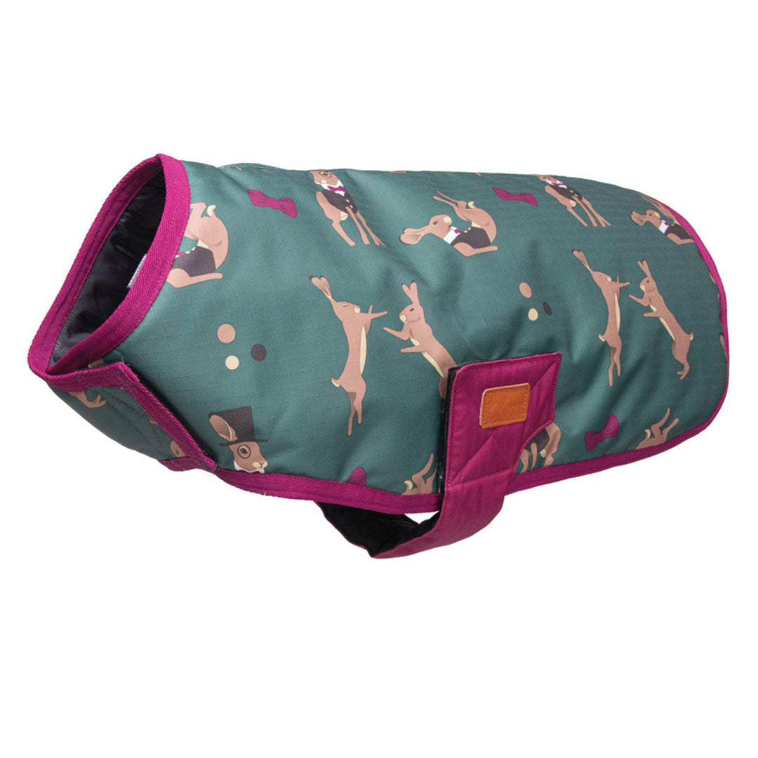 Hy Equestrian Benji & Flo Harrison the Hare Dog Coat