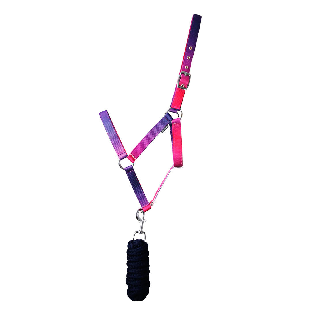 Hy Equestrian Ombre Head Collar & Lead Rope