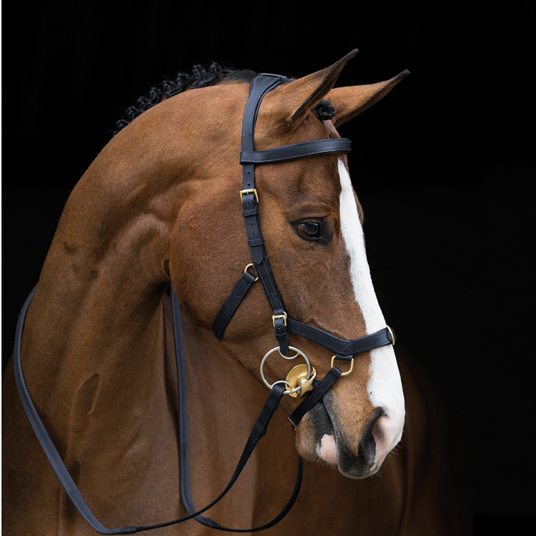 Horseware Ireland Rambo Micklem Multibridle