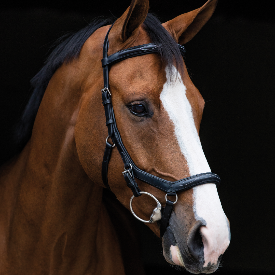 Horseware Ireland Rambo Micklem Deluxe Competition Bridle