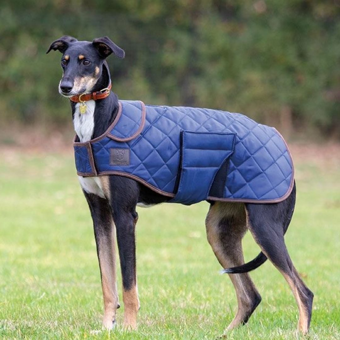 Shires Digby & Fox Quilted Dog Coat