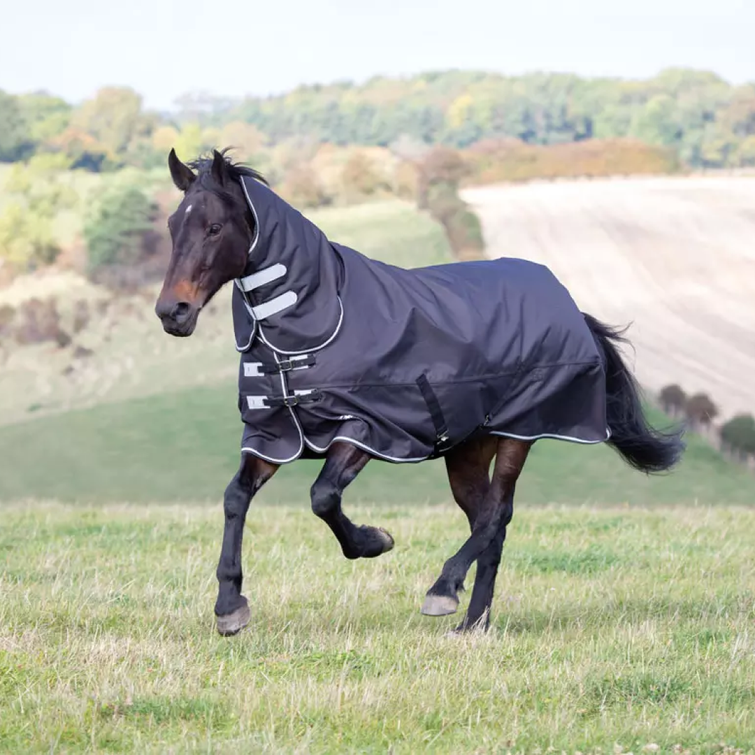 Shires Tempest Plus 300 Turnout Combo