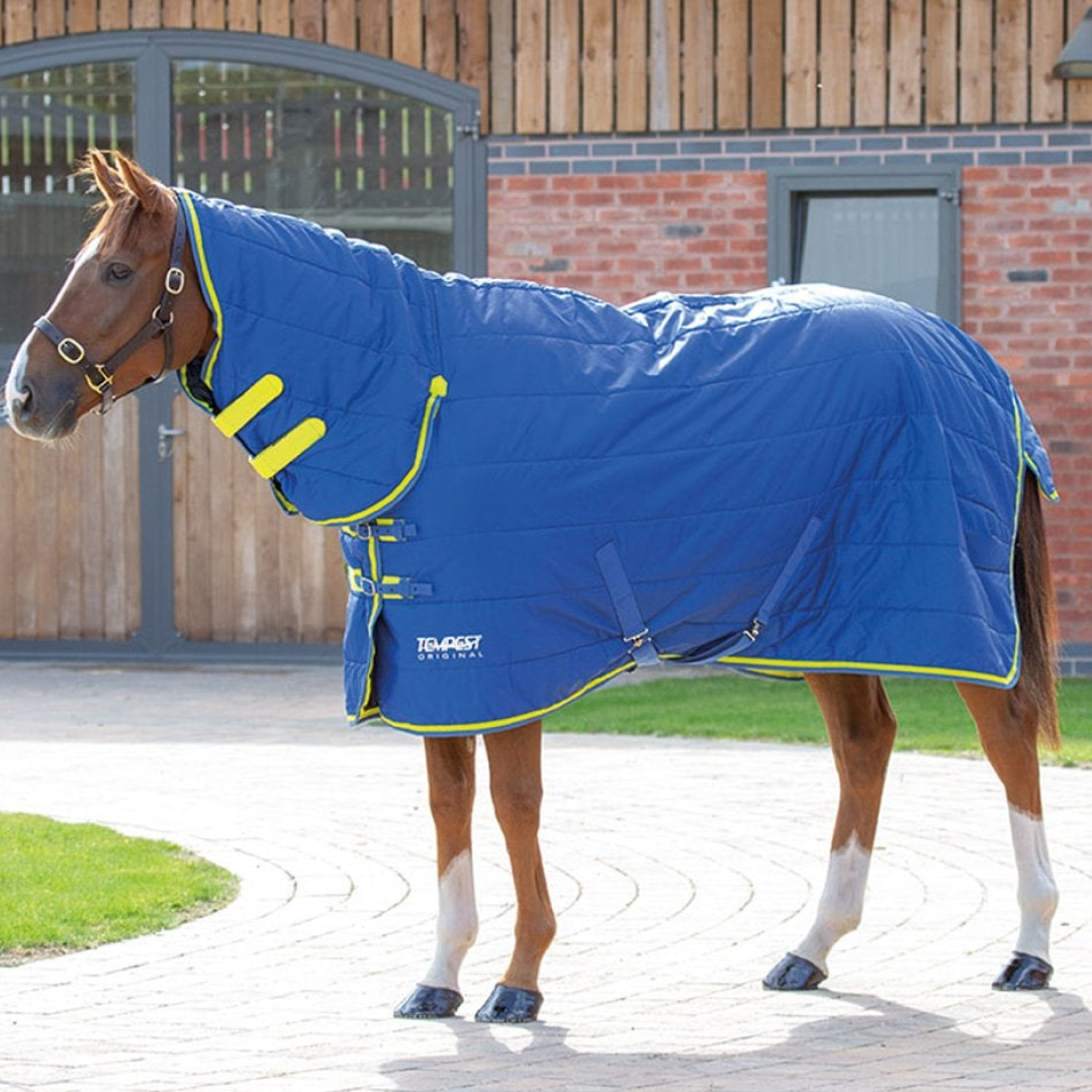 Shires Tempest Original 100g Stable Set