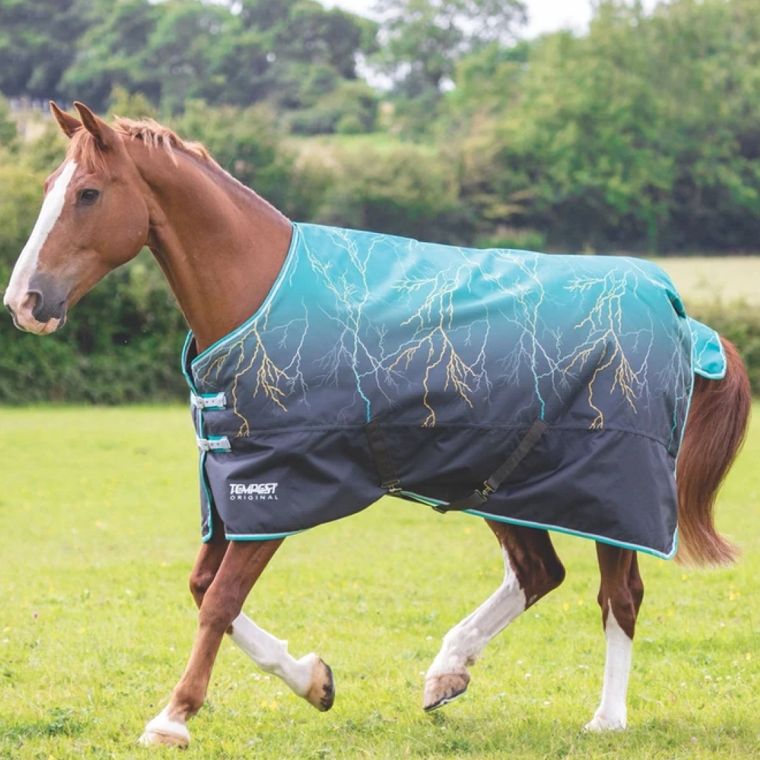 Tempest Original 200g Turnout Rug