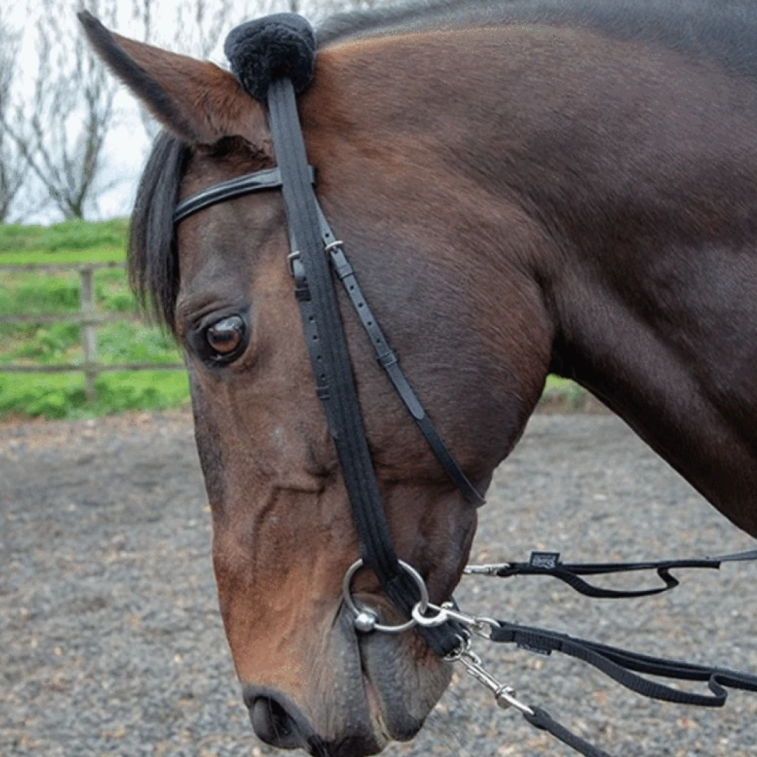 Shires Lunging Adapter