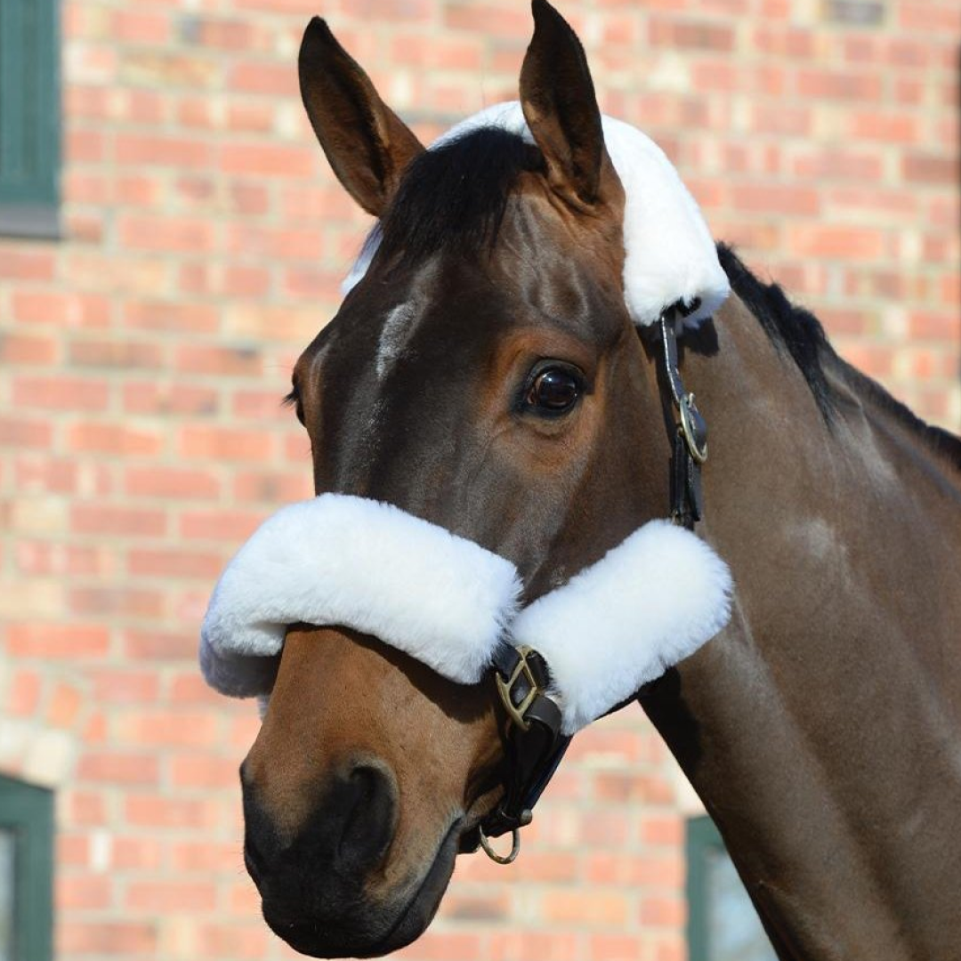 Weatherbeeta Merino Sheepskin Headcollar 4 Piece Set