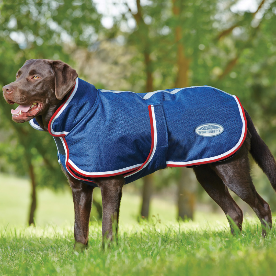 Weatherbeeta Parka 1200D Dog Coat