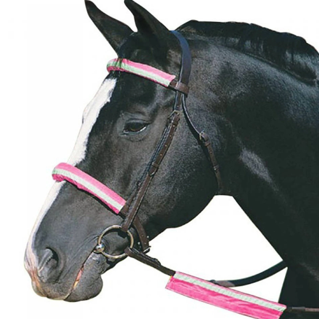 Roma Reflective Bridle Kit