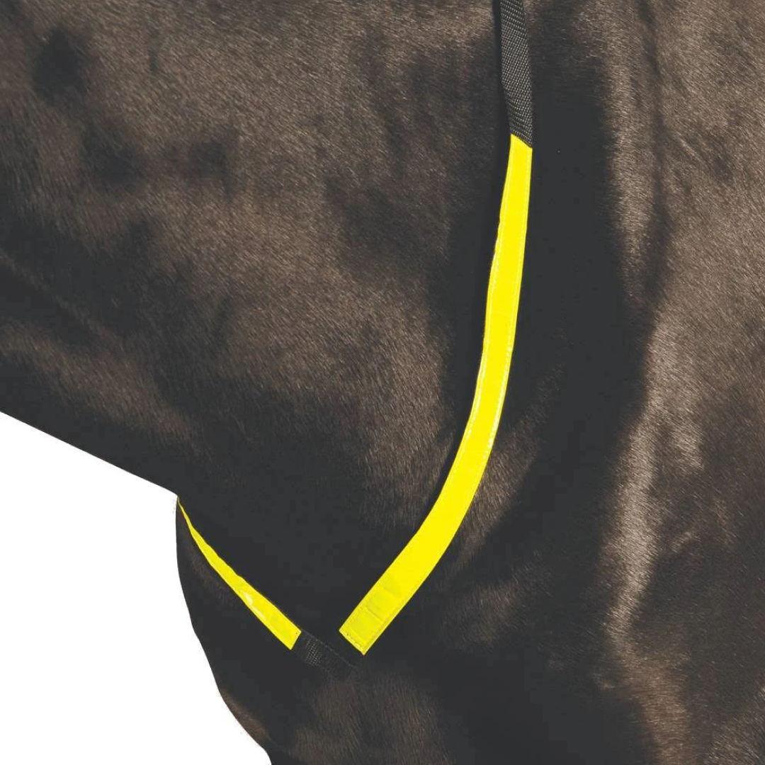 Roma Reflective Breastplate
