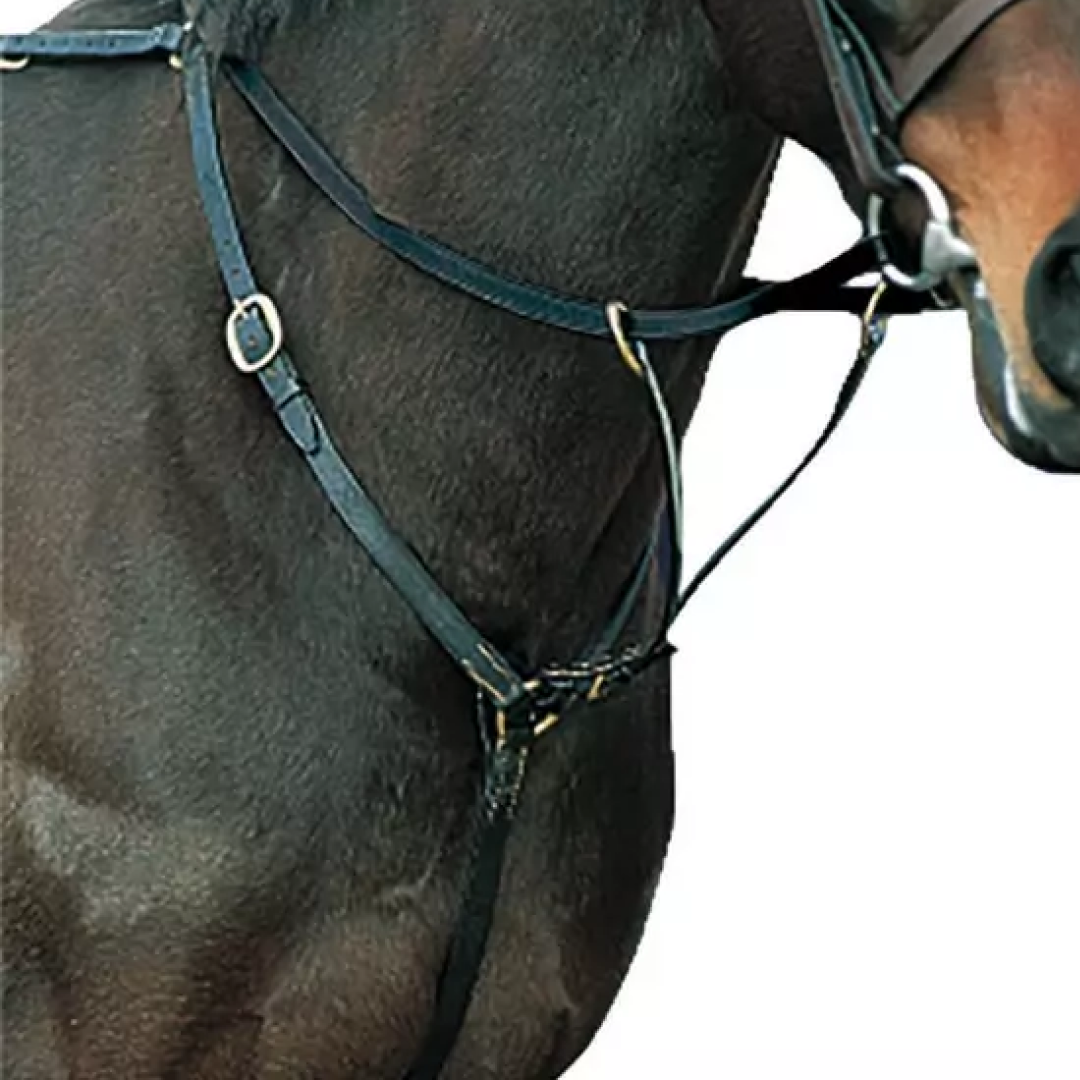 Kincade Breastplate