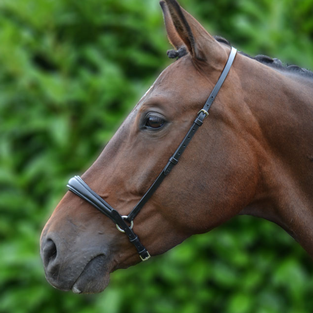 Hy Padded Drop Nose Band