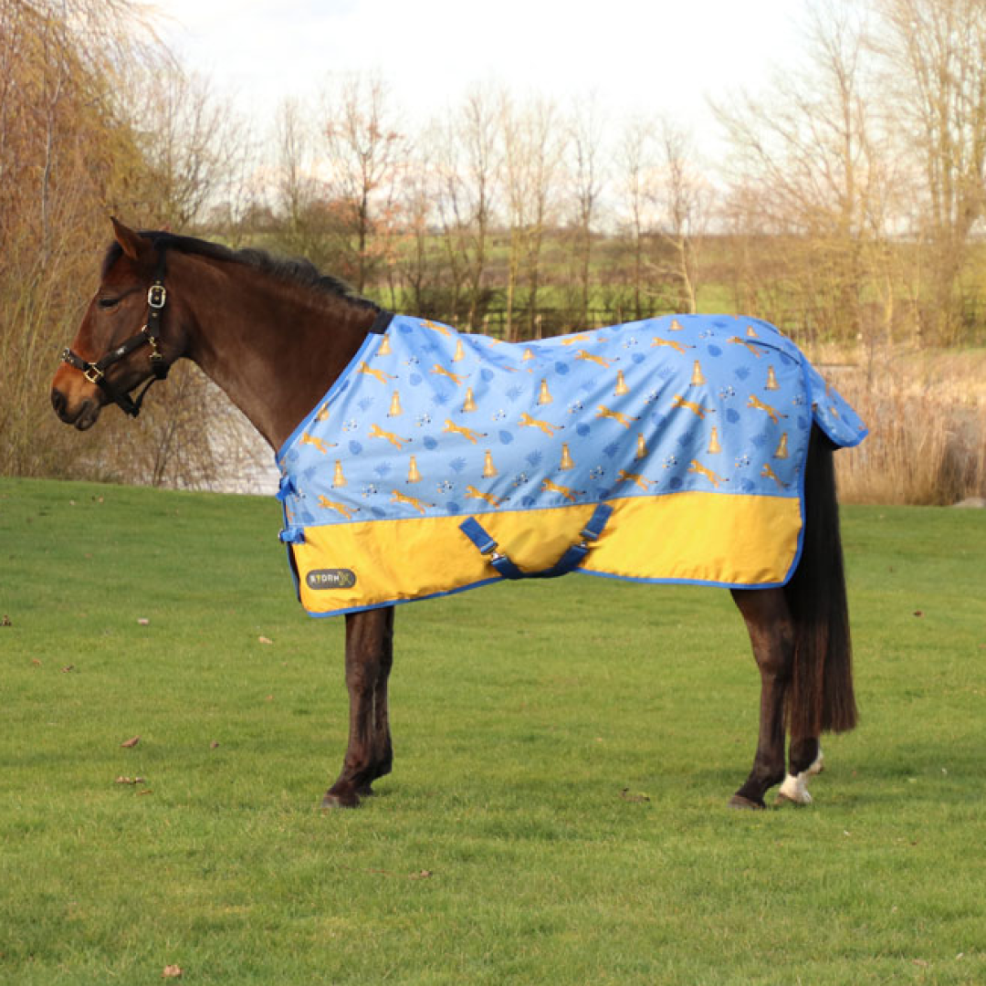 StormX Original 0 Turnout Rug - Chico the Cheetah
