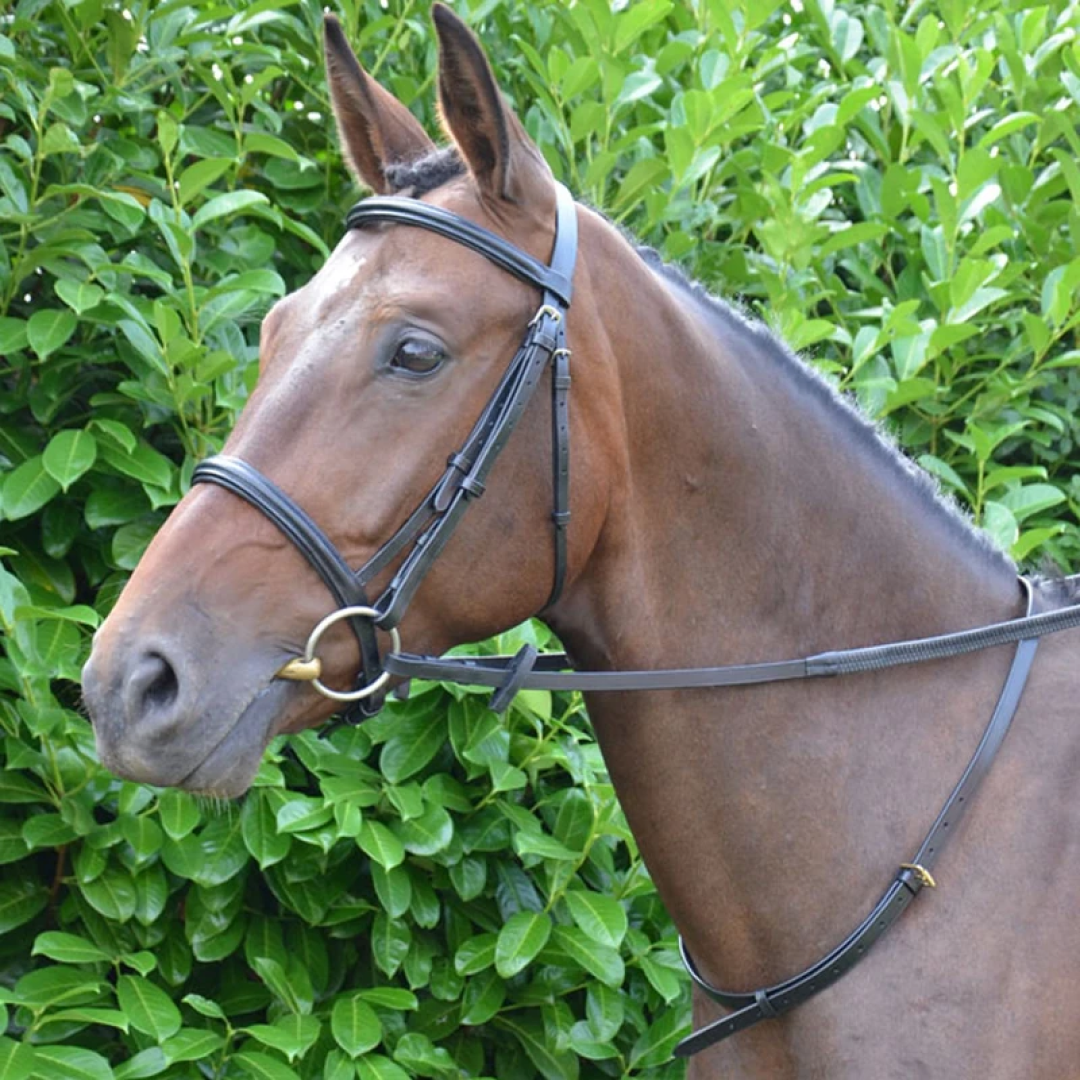 Hy Leather Neck Strap