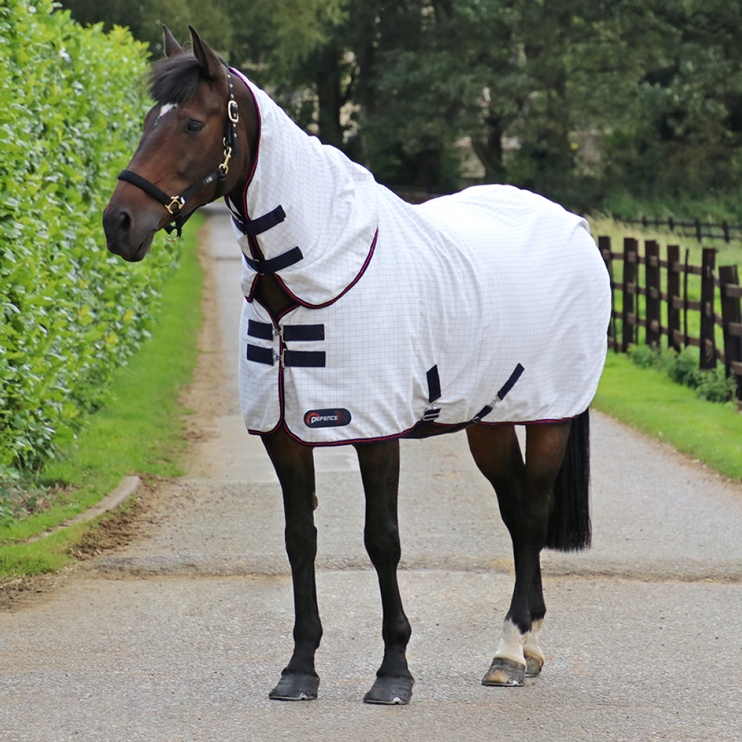 DefenceX System ProteX Summer Sheet