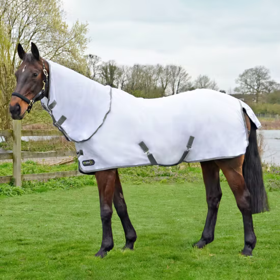 StormX Original Warrior Combo Neck Fly Rug